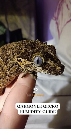 a hand holding a small brown and black gecko