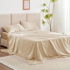 an unmade bed with sheets and pillows in a white room next to a potted plant