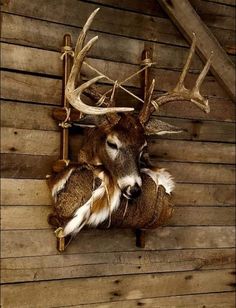 a deer head mounted to the side of a wooden wall with antlers on it