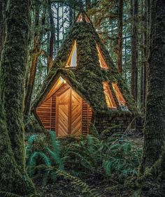 a small cabin in the woods with moss growing on it's roof and windows