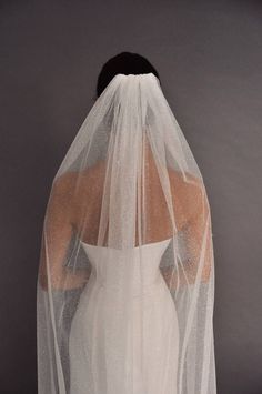 the back of a bride's wedding veil