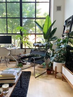 a living room filled with lots of plants and furniture next to large windows on top of a hard wood floor