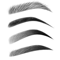 Eyebrow Images, Types Of Eyebrows, Membentuk Alis, How To Draw Eyebrows, Perfect Eyebrows