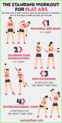 an info sheet shows how to do squats in the gym with dumbble arms