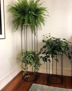 two planters with plants in them on the floor