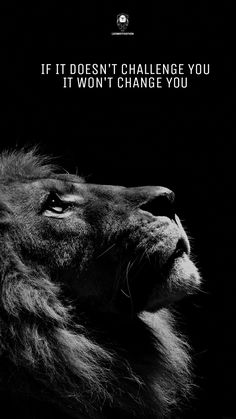 a black and white photo of a lion's face with the quote if it doesn't challenge you, it won't change you