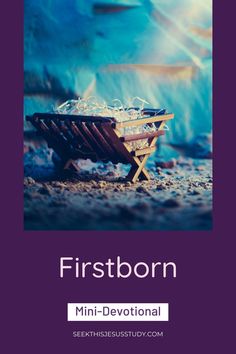 a small wooden table with ice in it and the words firstborn on top of it