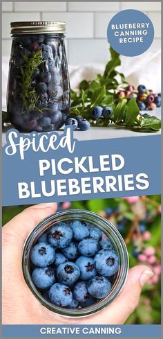 blueberries in a jar with the words spiced pickled blueberries above it