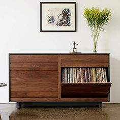 an entertainment center with records on it and a plant in the corner next to it