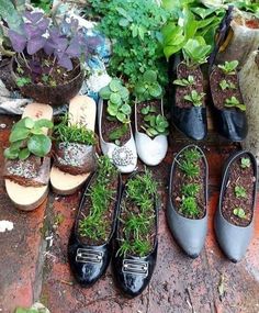 several pairs of shoes with plants growing out of them on top of the ground in front of potted plants