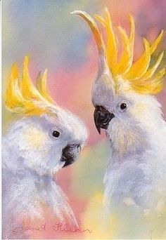 two white parrots with yellow feathers are facing each other in front of a colorful background