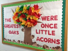 a bulletin board with paper flowers in the shape of a tree and words that read, were once little acorns