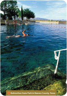 people swimming in the water at a natural spring - fed pool at balcombea spa