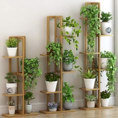 a wooden plant stand with potted plants on it and measurements for each shelf in the room