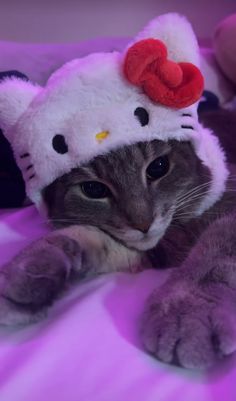 a cat with a hello kitty hat on it's head laying on a bed