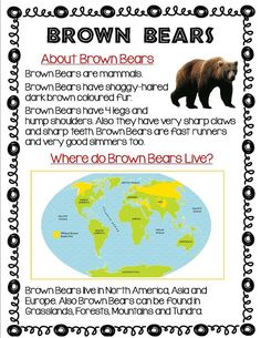 a brown bear is standing in front of a world map with the words where do brown bears live?