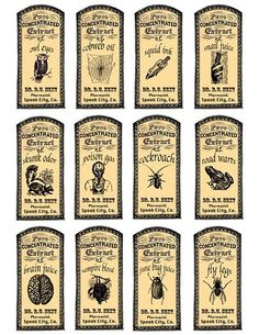 twelve different types of bugs and insects on labels