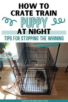 A dog in a wire crate with a text overlay that reads how to crate train puppy at night: tips for stopping the whining. Kennel Training A Puppy, First Night With Puppy, Puppy Whining, Train Puppy, Crate Training Dog, Crate Train, Training A Puppy, Puppy Kennel, Training Puppy