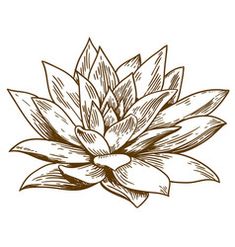 a black and white drawing of a lotus flower