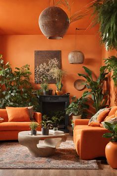 An orange themed living room with orange couch, chair, black fireplace, many green plants and a wicker hanging light Christmas Tree Living Room, Living Room Decor Christmas, Burnt Orange Living Room, Dark Living Room Ideas, Tree Living Room, Orange Living Room, The Color Orange, Room Decor Christmas, Orange Rooms