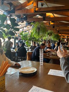 people sitting at tables in a restaurant with plants hanging from the ceiling and papers on the table