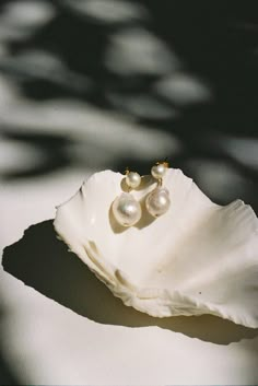 Pearls Photography, Jewellery Photography Inspiration, Jewelry Product Shots, Creative Jewelry Photography, Jewelry Photography Styling, Jewellery Photography, Jewelry Photoshoot, Gold Aesthetic, Shooting Photo