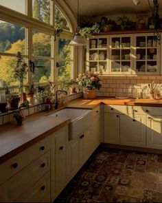 a kitchen filled with lots of windows and wooden counter top next to a window covered in potted plants