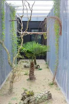 an enclosed area with trees and plants in the center, along with dirt on the ground