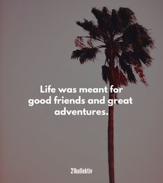 a palm tree with a quote about life was meant for good friends and great adventures