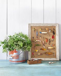 a wooden frame with fishing lures on it and a potted plant next to it