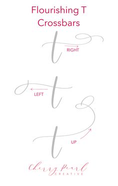 four different types of lettering with the words, flourishing t and crossbars