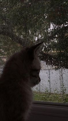 a black cat sitting on top of a window sill next to a rain covered tree