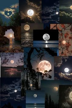 a collage of different moon images with trees and water in the background