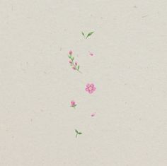 some pink flowers and green leaves on a white paper background with space for the text