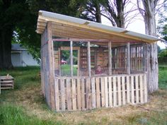 a chicken coop in the middle of a yard