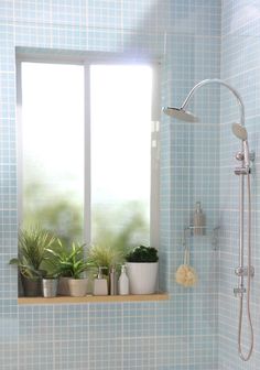 a bathroom with blue tiles and plants in the window sill, along with a shower head