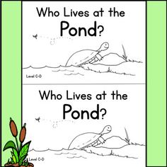 two posters with the words who lives at the pond? and an image of a turtle swimming