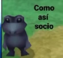 a cartoon frog standing in front of a sign that says como asi soccio