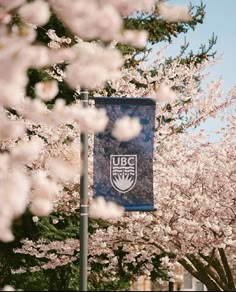 a blue flag hanging from the side of a tree filled with white flowers in front of a building