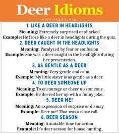 the rules for deer idoms