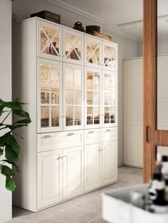 a large white cabinet with glass doors in a living room next to a sink and potted plant