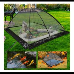 a collapsible pond with fish inside and in the center, surrounded by grass