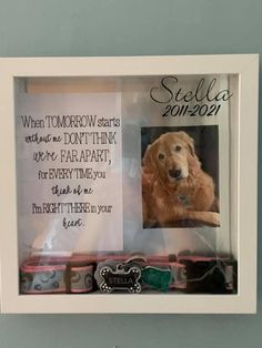 a dog is in a white frame with writing on it