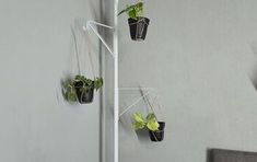 three hanging planters with plants in them on a wall next to a bed and nightstand