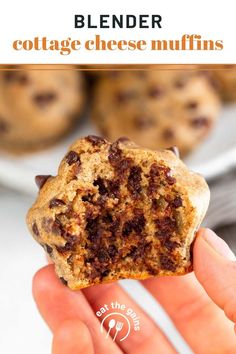 a hand holding up a chocolate chip muffin