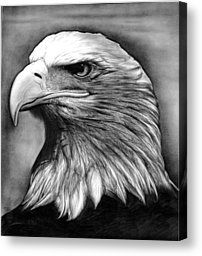 a pencil drawing of an eagle's head