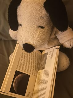 a stuffed animal is reading a book about the moon and it's side view