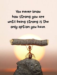 an ant standing on top of a rock with the sun in the background and a quote above it that reads, you never know how strong you are until being strong