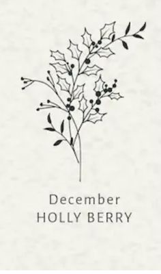 a black and white photo of a holly plant with the words december holly berry on it