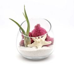 a glass bowl filled with sand and plants